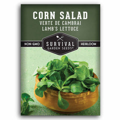 Corn Salad Verte de Cambrai Seeds - Lamb’s Lettuce (Mache) 1 Packet