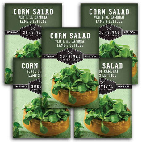 5 packets of Corn Salad Lamb's Lettuce seeds