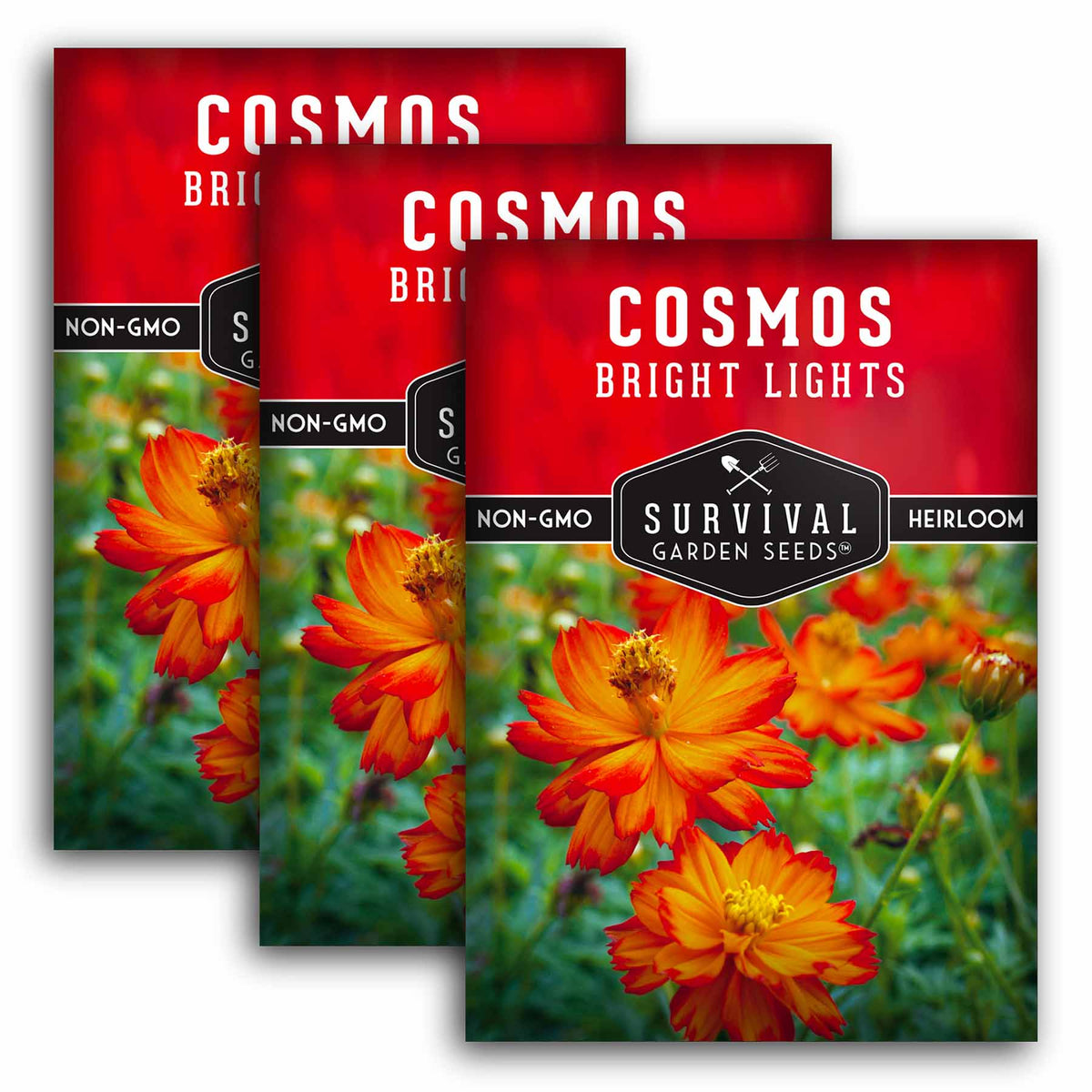 3 packets of Bright Lights Cosmos seeds