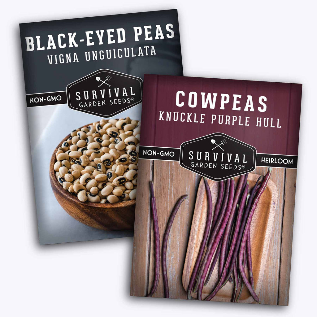 Cow Pea Seed Collection - 3 Nutritious Varieties