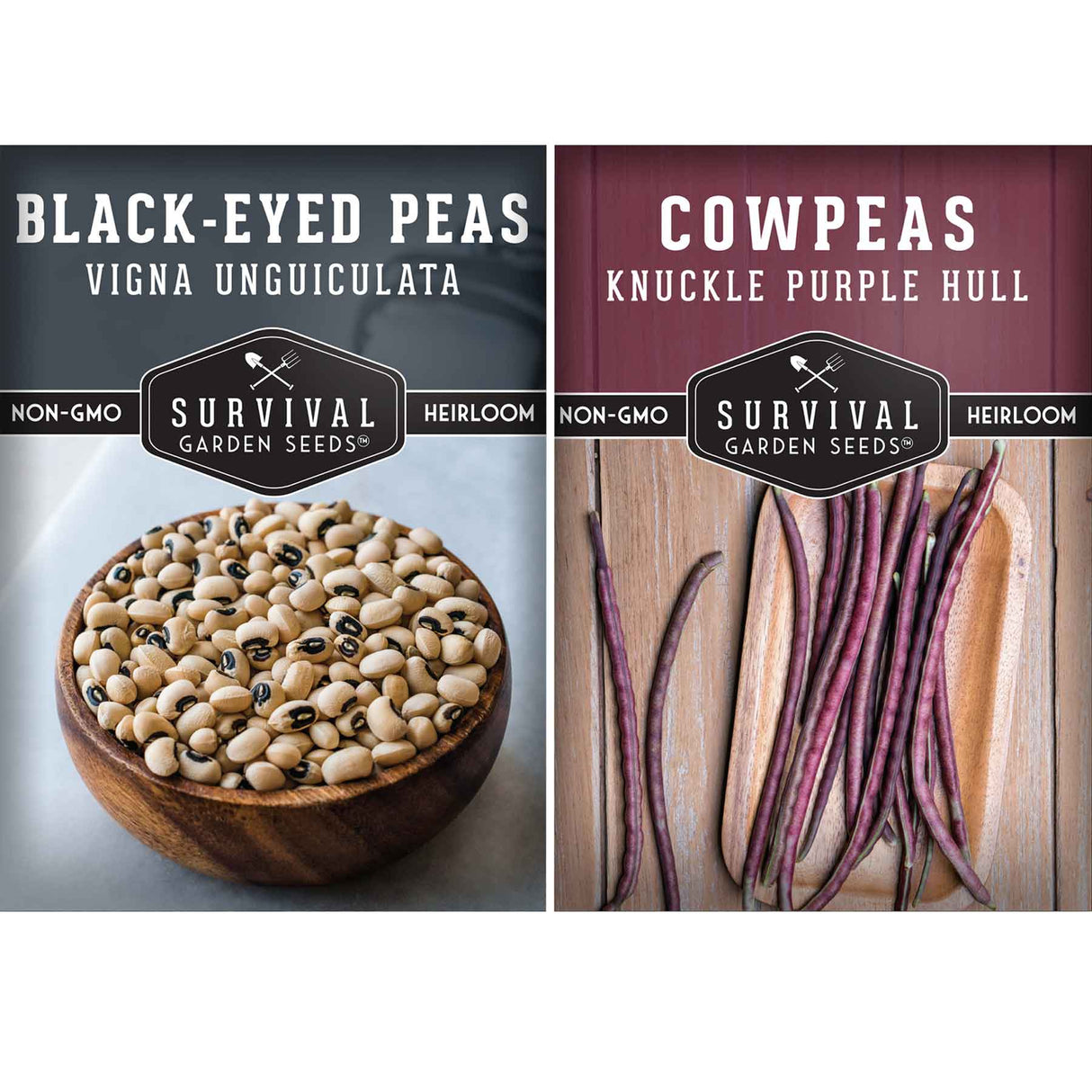 Cowpea Seed Collection