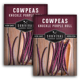 2 packets of Knuckle Purple Hull Cowpeas