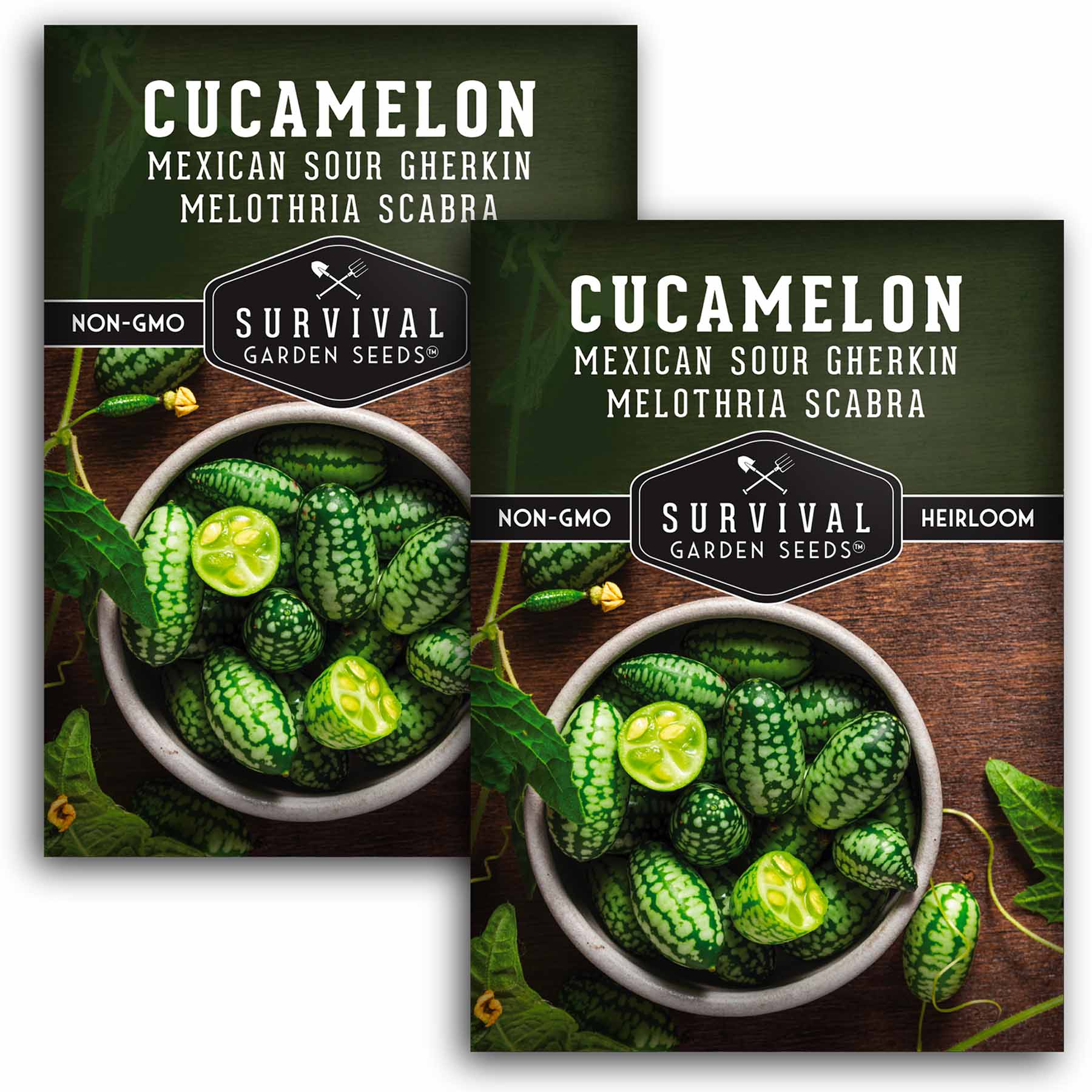 Cucamelon – Heirloom Non-GMO Seeds – SurvivalGardenSeeds