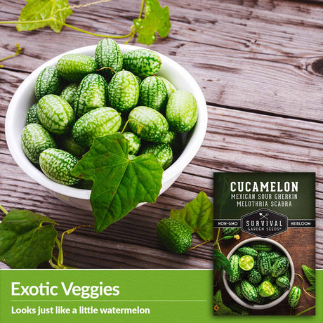 Exotic Veggies - looks just like a little watermelon