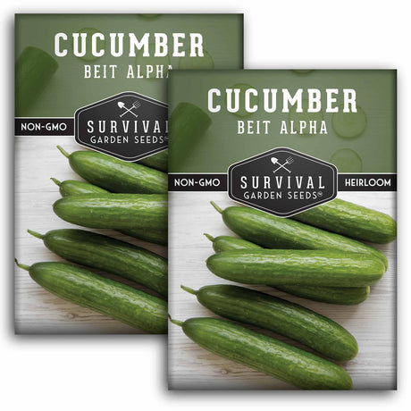 2 Packets of Beit Alpha Cucumber seeds