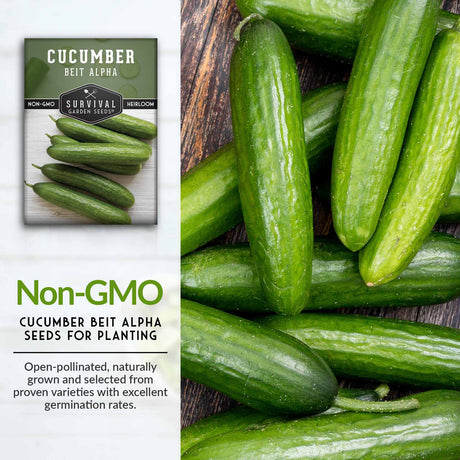 Non-GMO Cucumber seeds