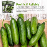 Prolific and Reliable cucumber seeds