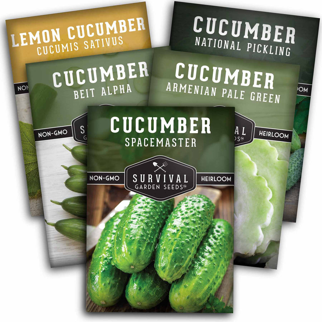Cucumber Collection - Armenian, Beit Alpha, Lemon, National Pickling, & Spacemaster