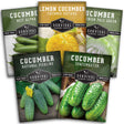 Cucumber Seed Collection - 5 packets of cucumber seeds