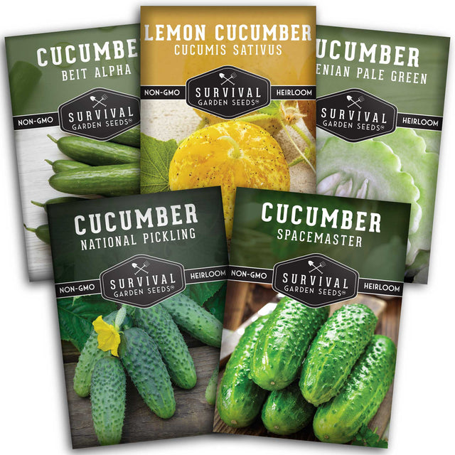 Cucumber Seed Collection - 5 packets of cucumber seeds