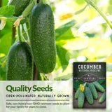 Quality Cucumber seeds