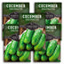 5 packets of Spacemaster Cucumber seeds