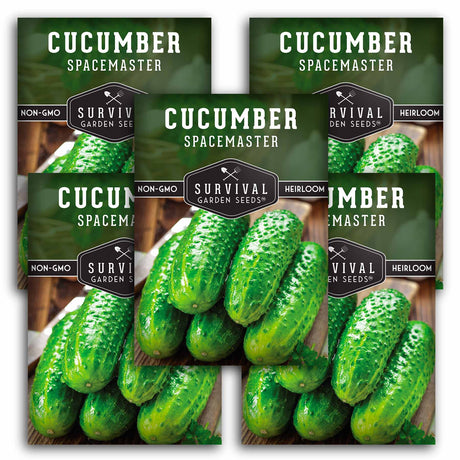5 packets of Spacemaster Cucumber seeds