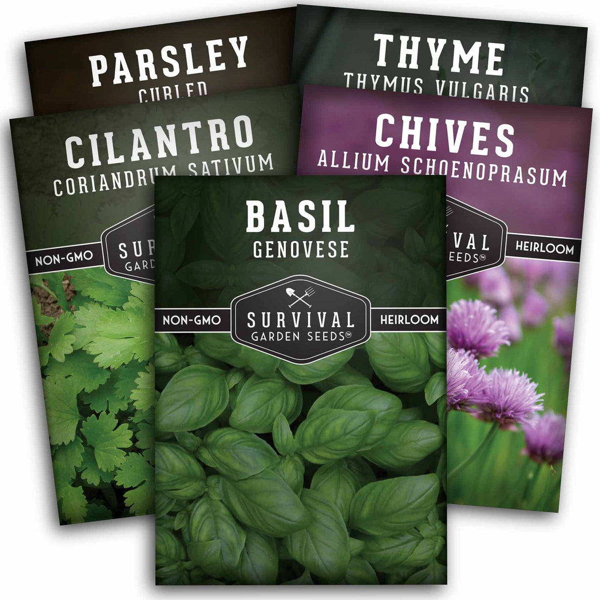 5 Culinary Herb seed packets