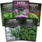 Culinary Herb Seed Collection - 5 packets of popular culinary herb seeds