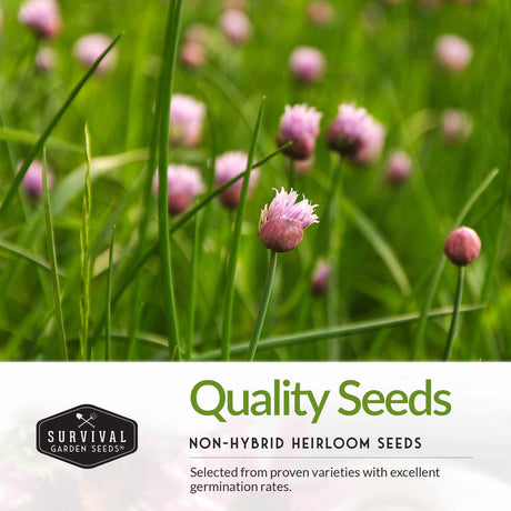 Quality seeds