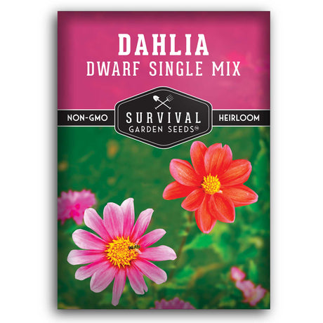 1 packet of Dwarf Single Mix Dahlia seeds