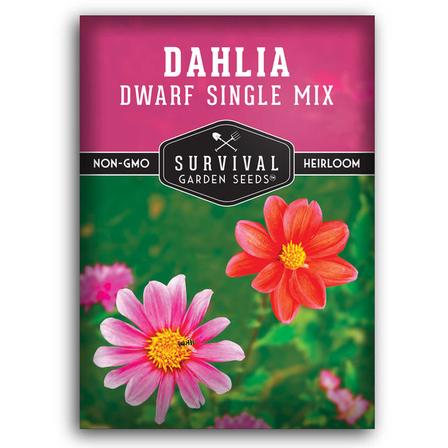 1 packet of Dwarf Single Mix Dahlia seeds