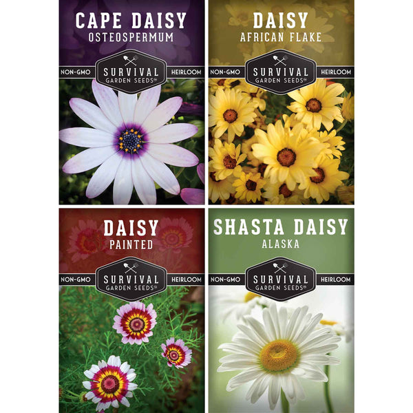 planting daisies from seeds Daisy Seed Collection – SurvivalGardenSeeds