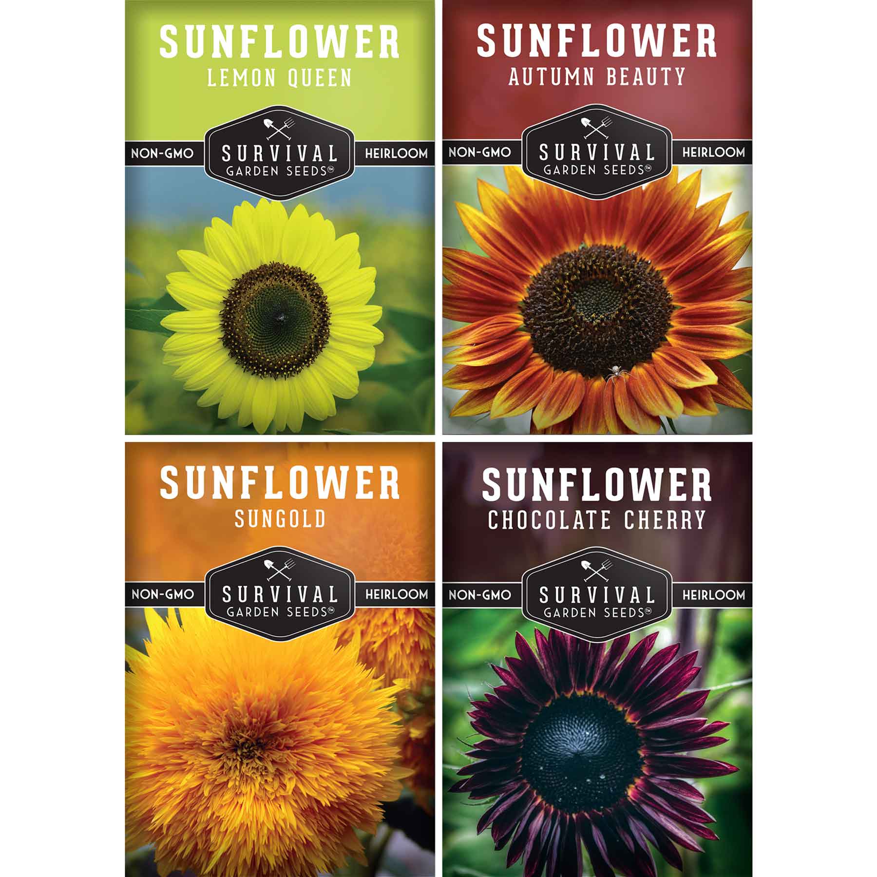 sunflower様 リクエスト 6点 まとめ商品 Decorative Sunflower Seed Collection – SurvivalGardenSeeds
