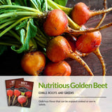 Nutritious Golden Beet