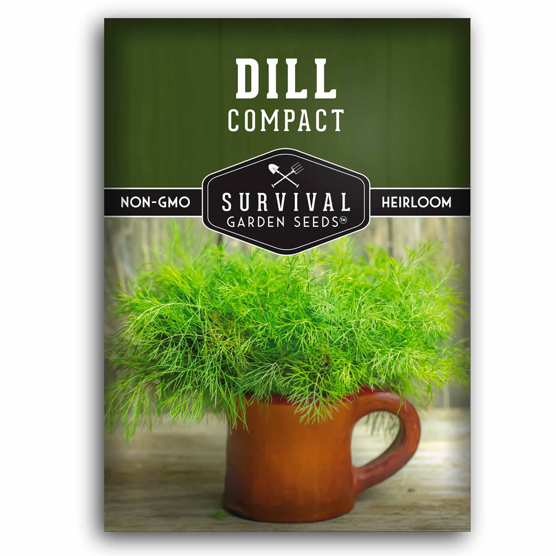 Compact Dill seeds