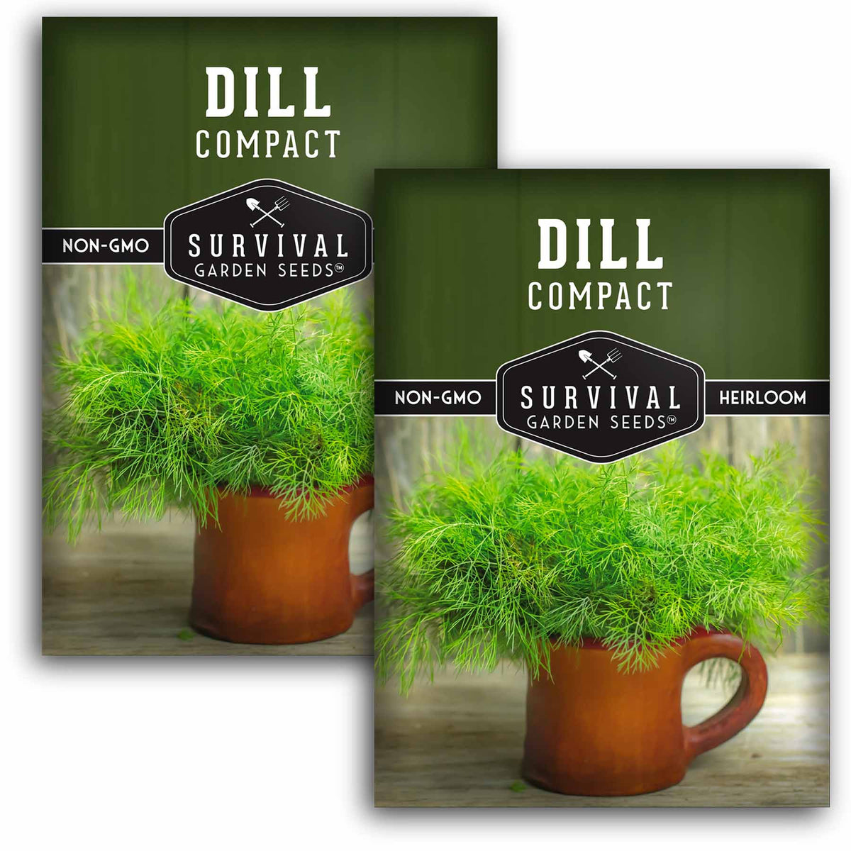 2 packets of Compact Dill seeds