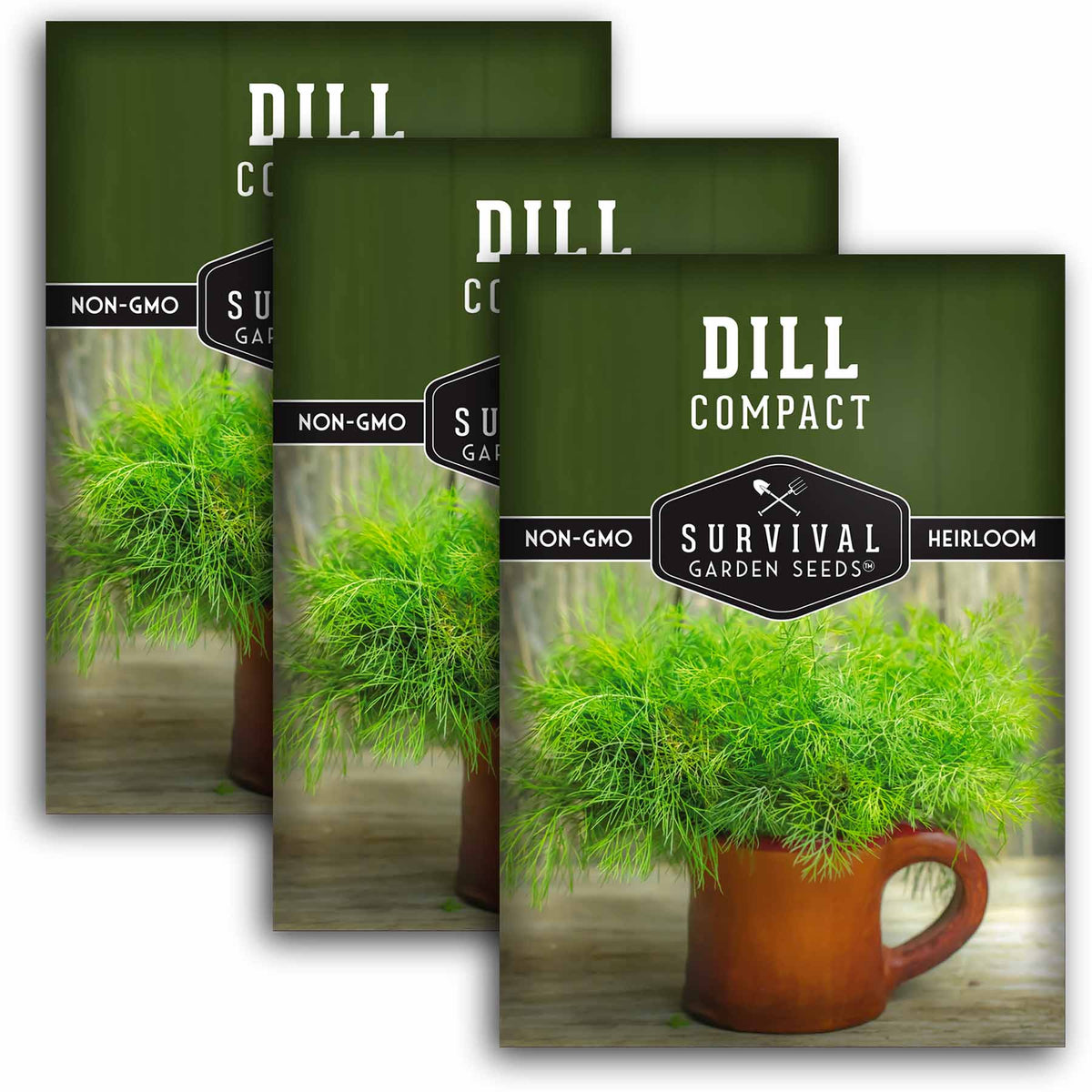 3 packets of Compact Dill seeds
