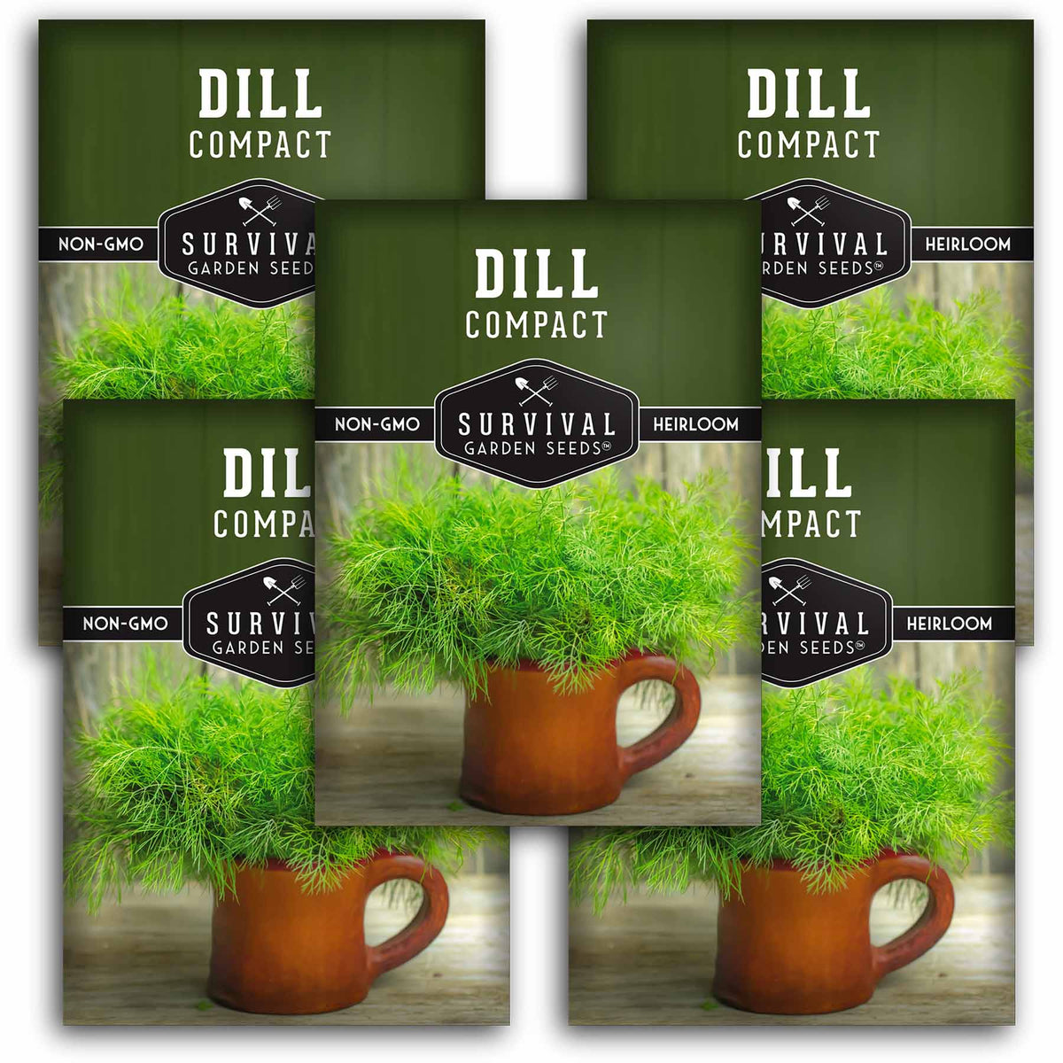 5 packets of Compact Dill seeds