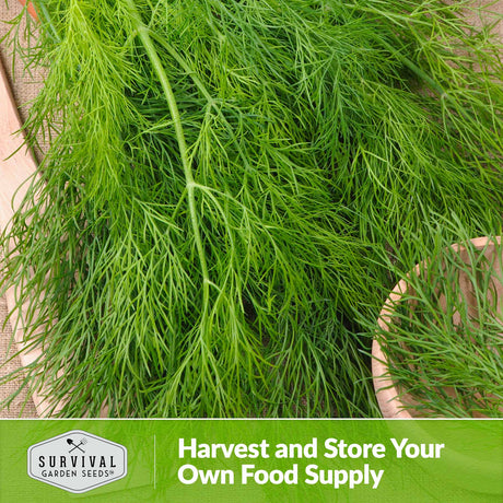 Harvest and store your own food supply