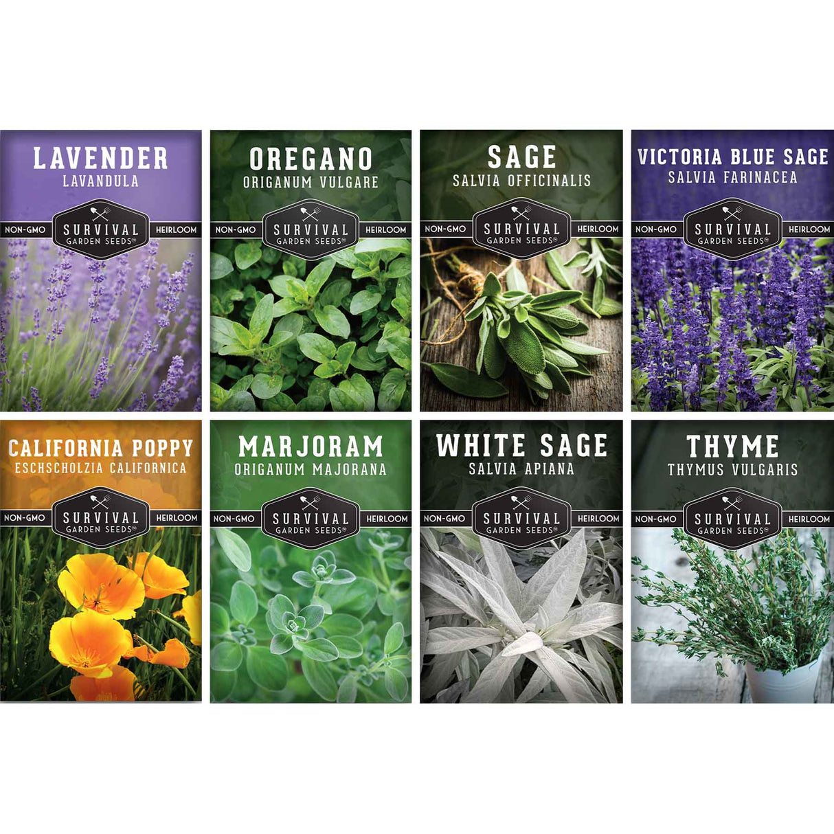 Drought Tolerant Seed Collection - 8 Hardy Herbs and Flowers