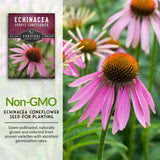 Non-GMO echinacea seeds