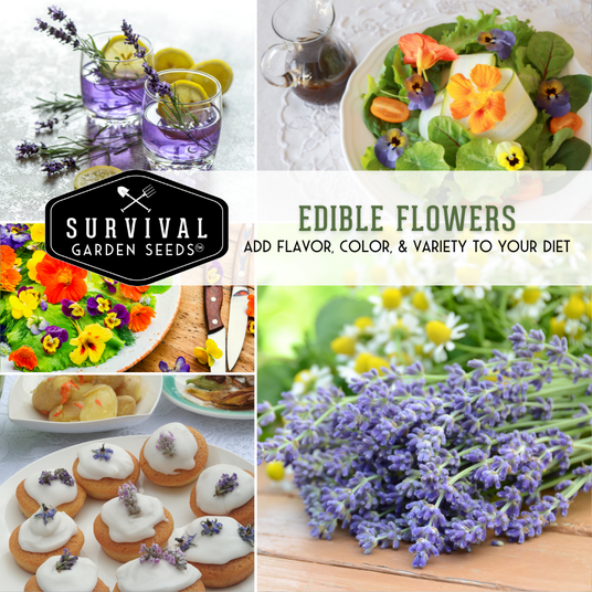 Edible Flower Seed Collection - Add flavor, color and variety to your diet