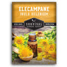 1 packet of Elecampane seeds