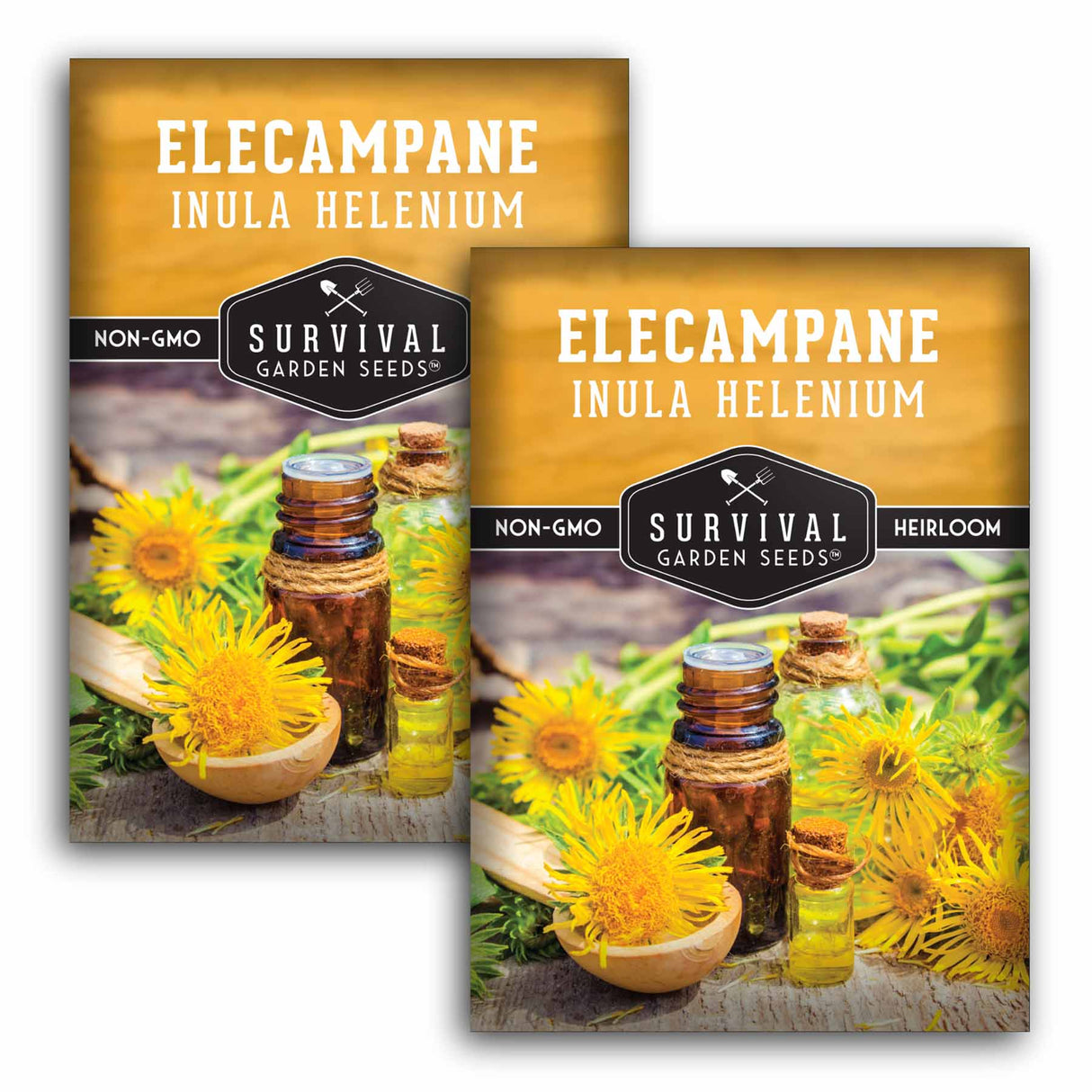 2 Packets of Elecampane seeds