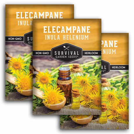 3 Packets of Elecampane seeds