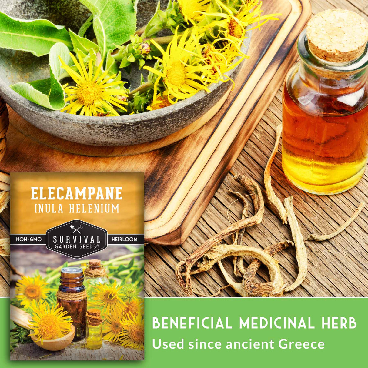 Beneficial Medicinal Herb - used since ancient Greece