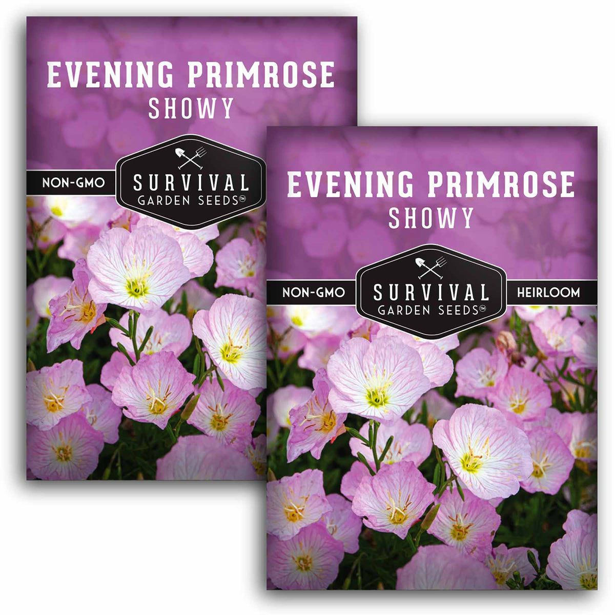 2 packets of Showy Evening Primrose seeds
