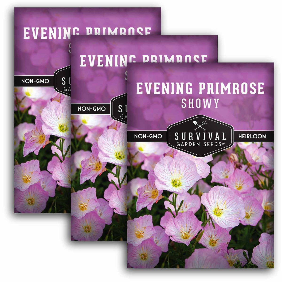 3packets of Showy Evening Primrose seeds