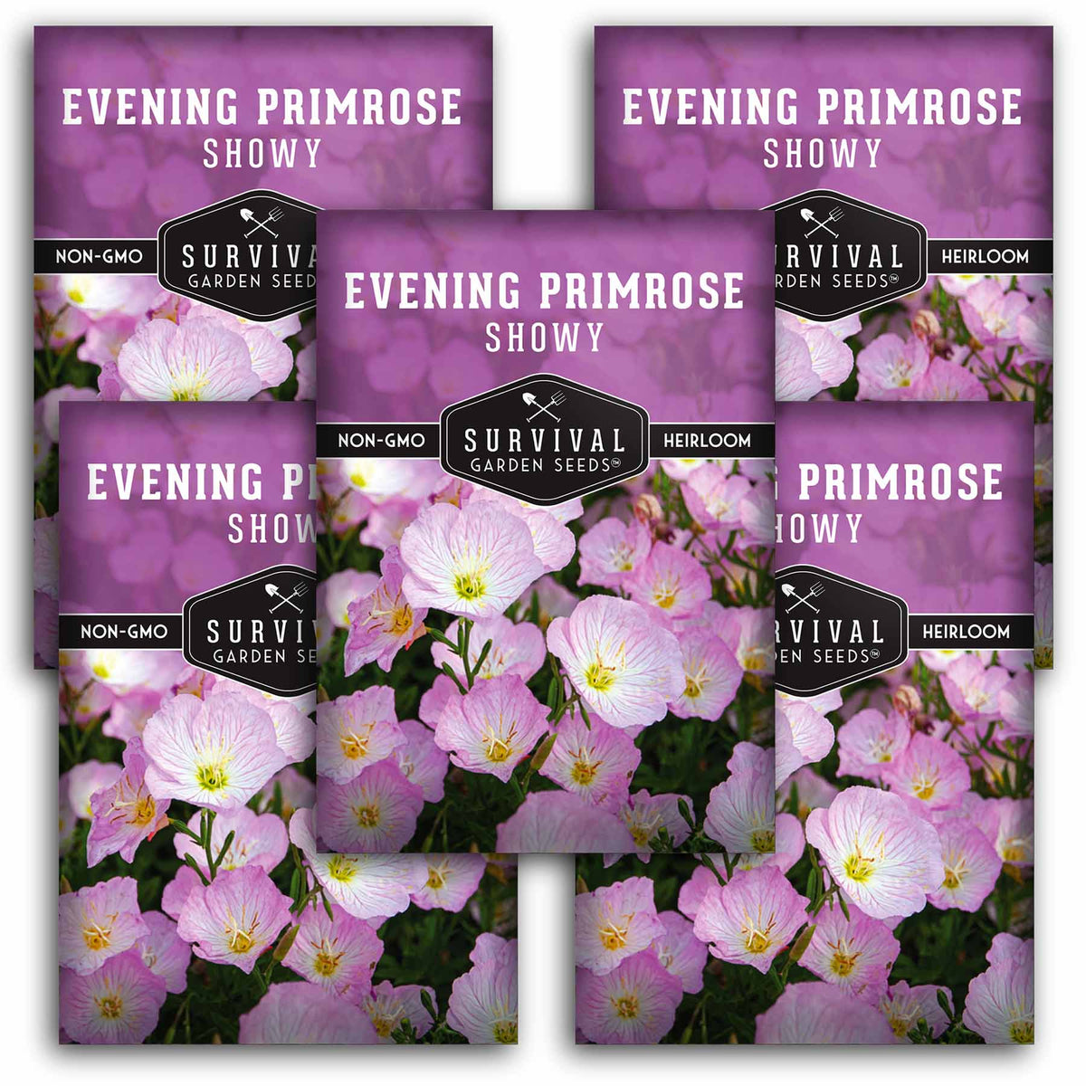5 packets of Showy Evening Primrose seeds