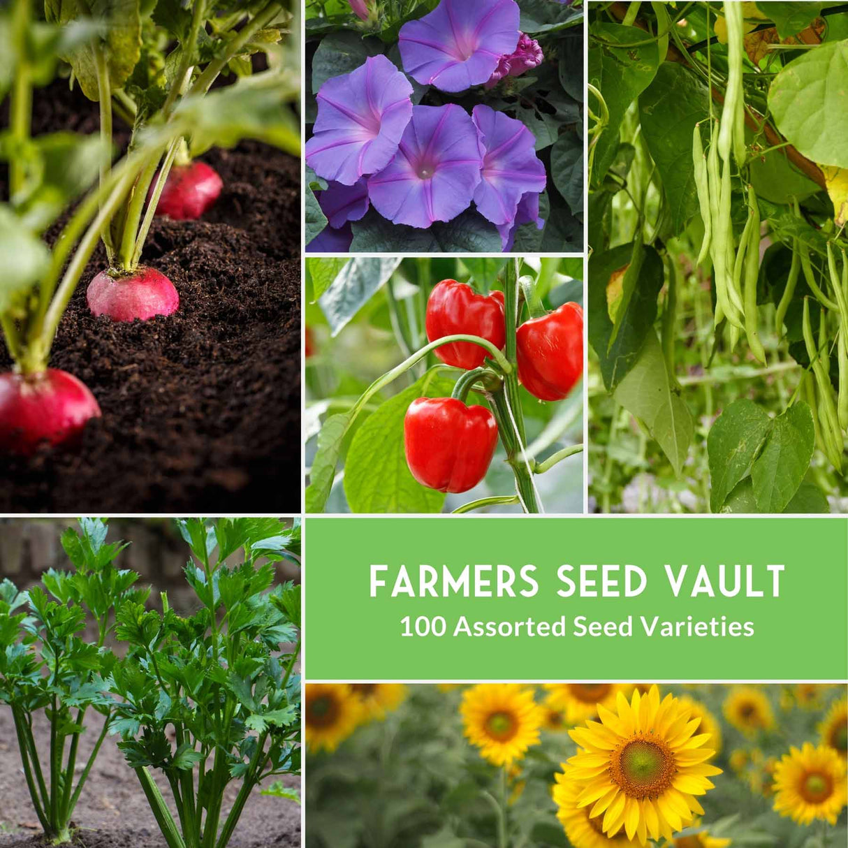 Farmers Seed Vault 100 Assorted Seed Varieties