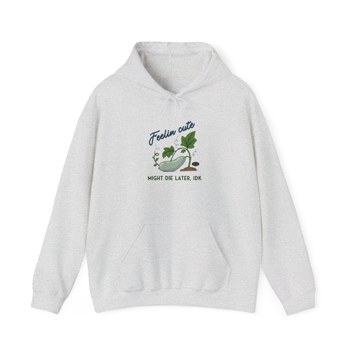 Unisex Hoodie - Feelin' Cute Might Die Later IDK - front - Ash