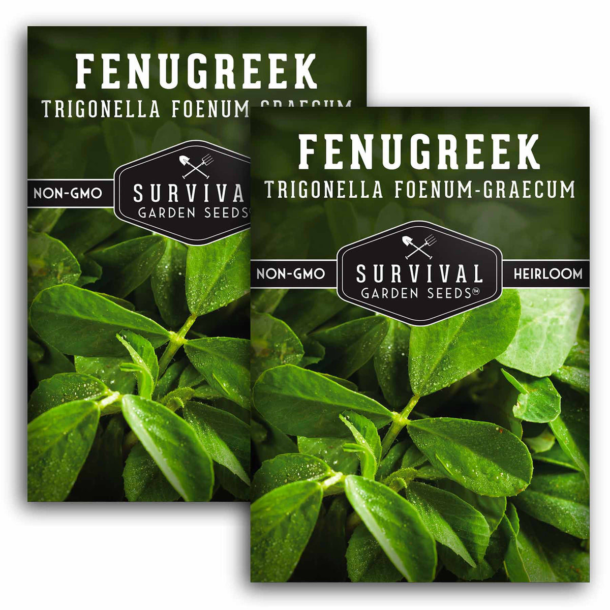 2 packets of Fenugreek seeds