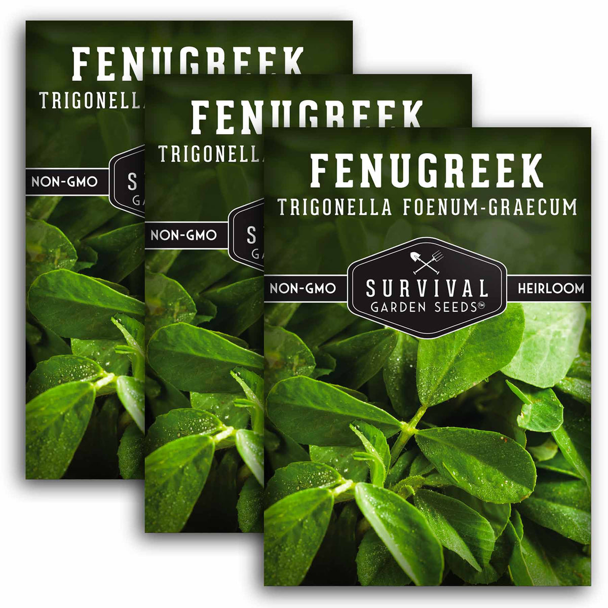 3 packets of Fenugreek seeds