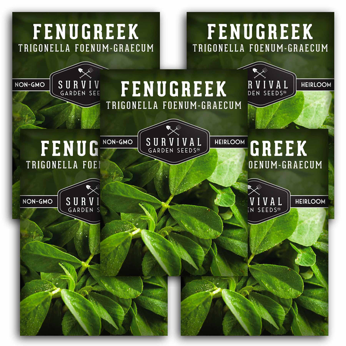 5 packets of Fenugreek seeds