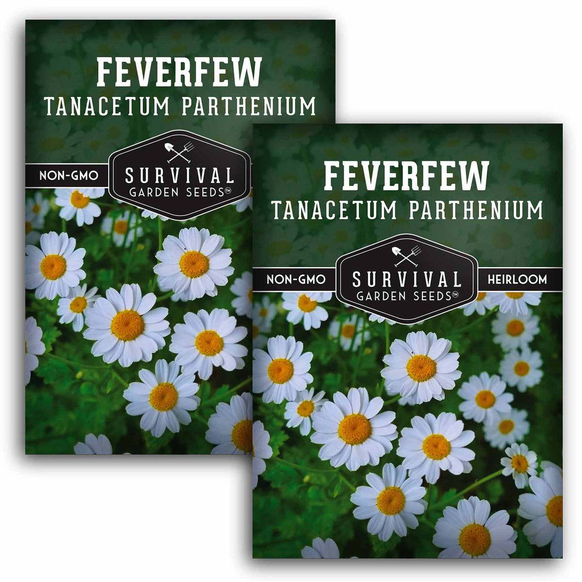2 packets of Feverfew seeds