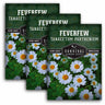 3 packets of Feverfew seeds