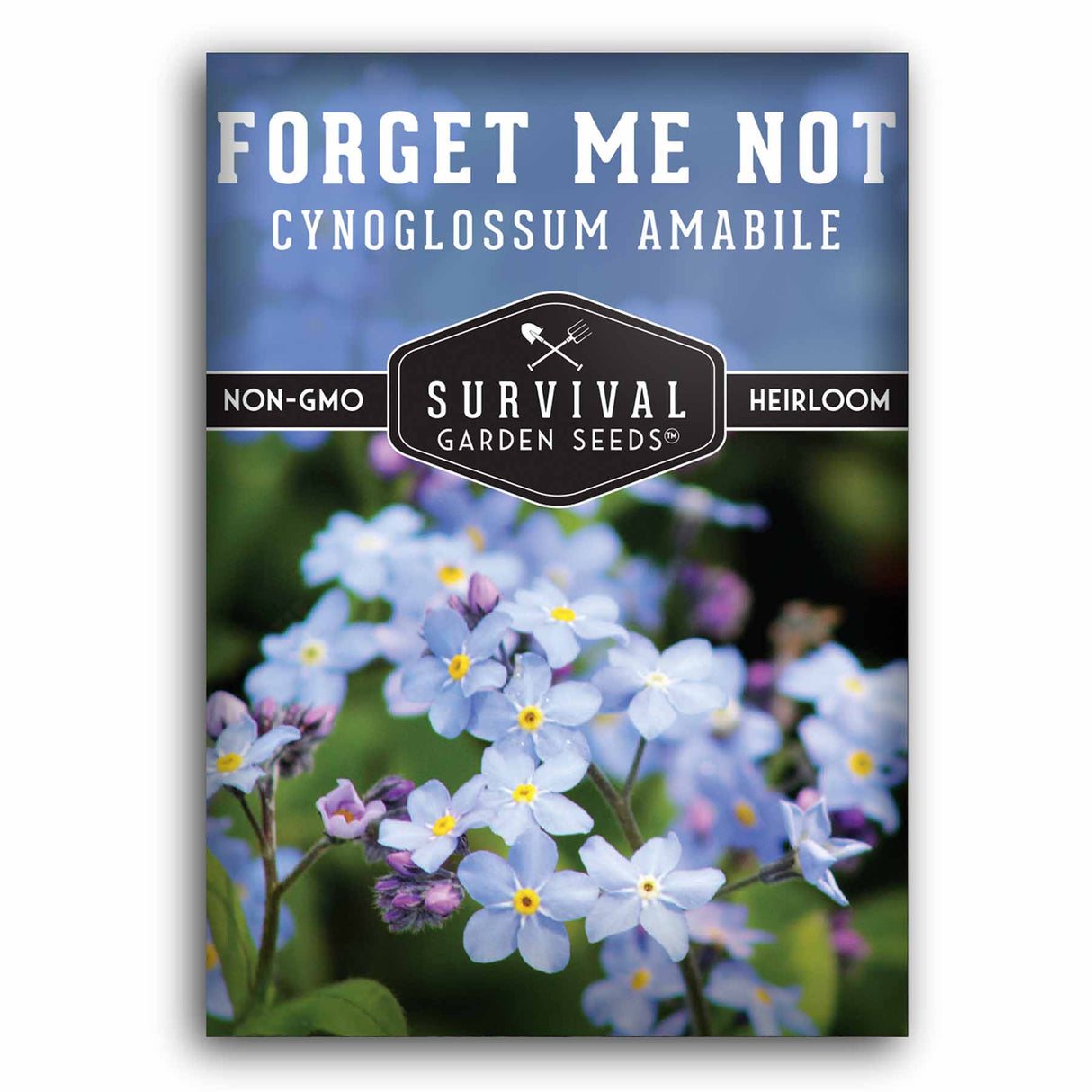 1 packet of Forget Me Not flower seeds