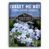 1 packet of Forget Me Not flower seeds