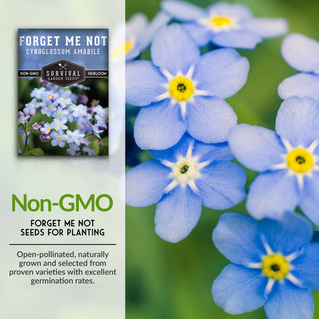 Non-GMO flower seeds